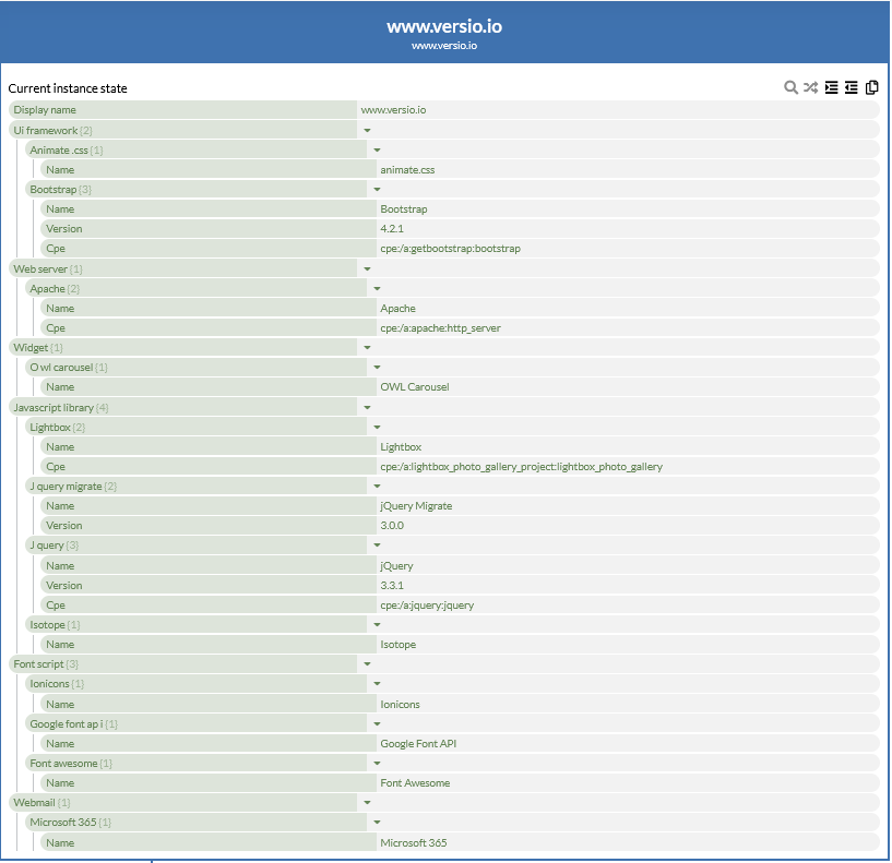 Versio.io Application frontend instance